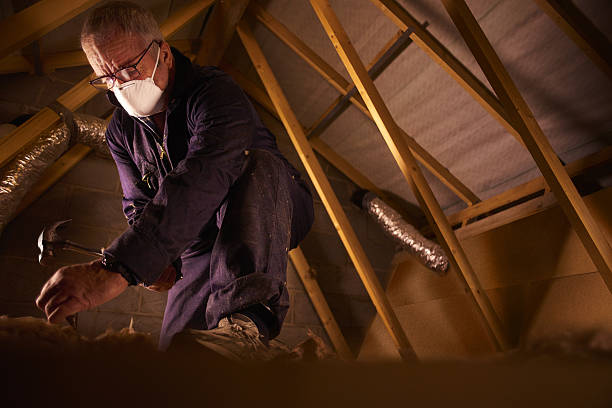 Best Insulation Installation Services in Pleasant View, TN